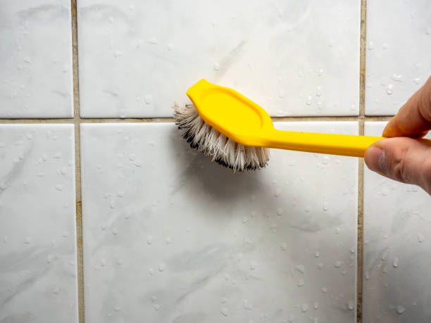 Best Mold Remediation Services  in Toledo, OR