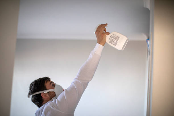 Best Mold Remediation Experts  in Toledo, OR