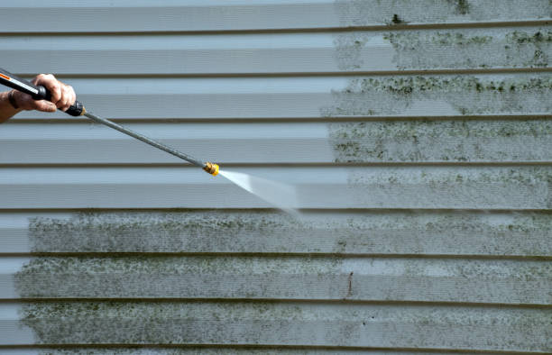 Best Mold Damage Repair  in Toledo, OR