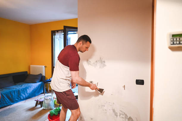 Best Toxic Mold Removal  in Toledo, OR